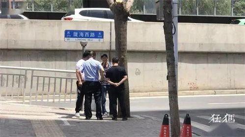 南阳特岗爆料事件最新,真相与争议交织的职场风云 第3张 南阳特岗爆料事件最新,真相与争议交织的职场风云 第3张